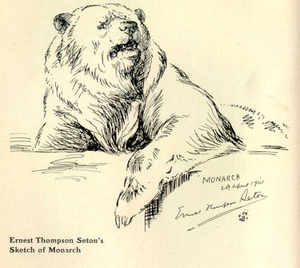 Ernest Thompson Seton's Sketch of Monarch