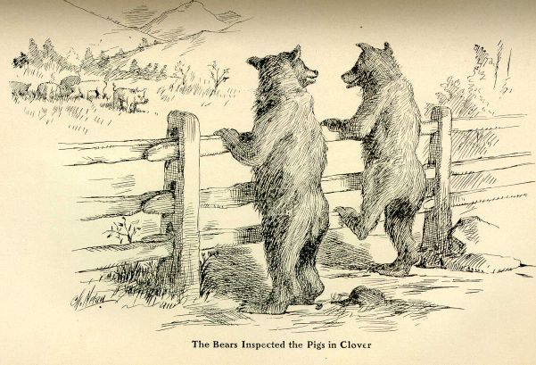 The Bears Inspected the Pigs in Clover