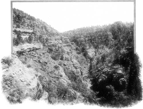 'CREVICES OF CA&Ntilde;ON WALLS.'