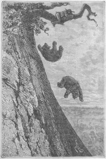 Nuo kaksi karhua katosivat hnen allensa vuoren seinn
jyrknnett myten.