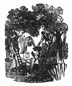Illustration of apple-picking.