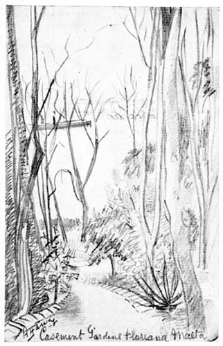 Casement Gardens, Malta. Casement Gardens, Malta.