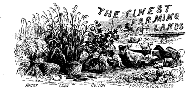 THE FINEST FARMING LANDS THE FINEST FARMING LANDS