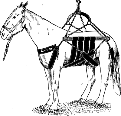 Fig. 6—A sling made in two parts so that horses may be
supported without use of central part or bodice. This sling is more
comfortable than is the ordinary style and is particularly useful in
cases that require a long period of this manner of confinement.