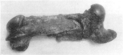 Fig. 46—Oblique fracture of the femur of a 1,500
six-year-old draft horse. Showing shortening of bone, owing to a lateral
approximation of the diaphysis because of muscular contraction. Photo by
Dr. Edward Merillat.