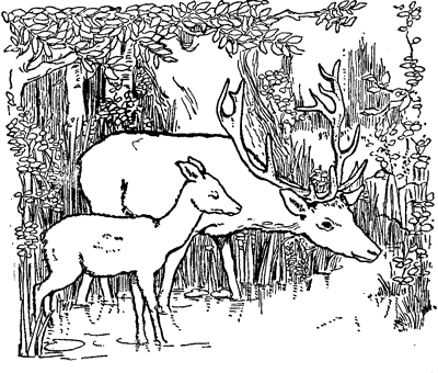 The Stag and the Fawn