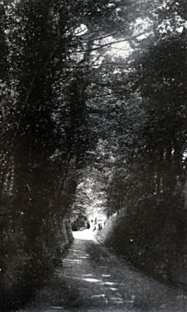 A QUIET LANE. "The quiet gray lane, with its fern-covered banks and hedges of roses and honeysuckle."
