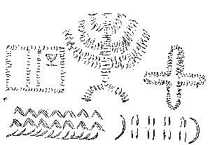 Tattoo of Matambw&eacute;.