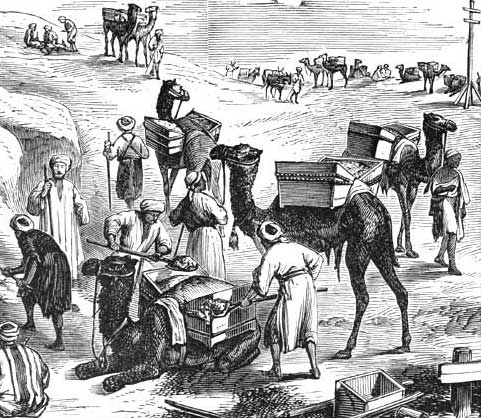 REMOVING THE EARTH FROM THE CANAL BY MEANS OF DROMEDARIES.
