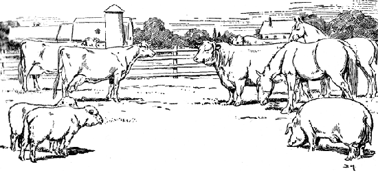 PROFITABLE LIVESTOCK PROFITABLE LIVESTOCK