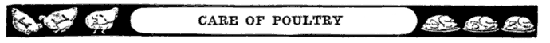 CARE OF POULTRY CARE OF POULTRY
