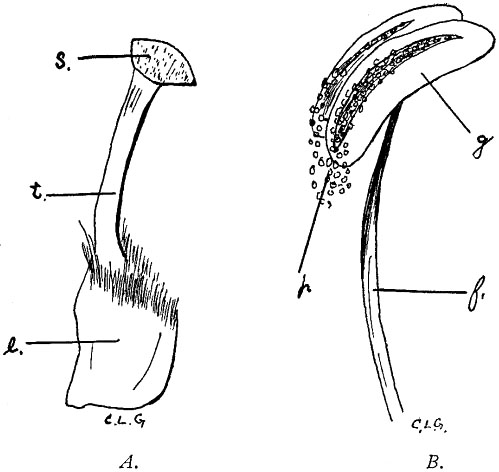 Fig. 72.