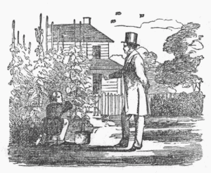 Gathering Beans Gathering Beans