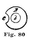 Fig. 80 Fig. 80