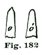 Fig. 182 Fig. 182