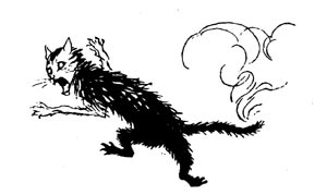 White-faced simminy has got a spark of hot cockalorum on its tail White-faced simminy has got a spark of hot cockalorum on its tail