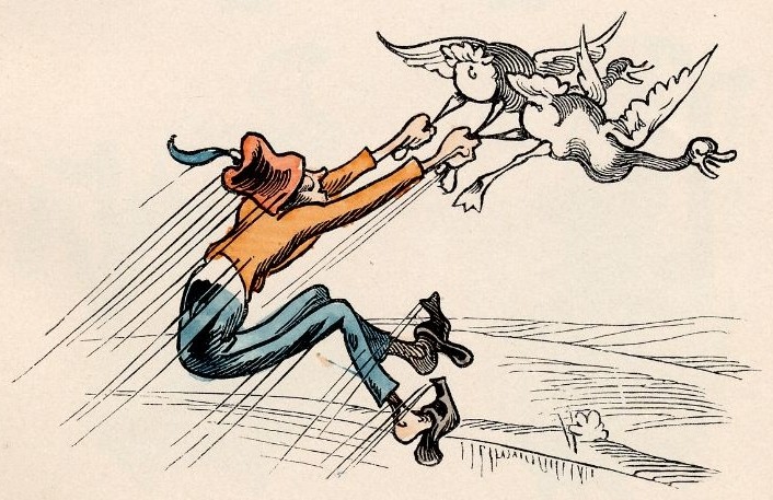 ... flattert er an Land ... flattert er an Land