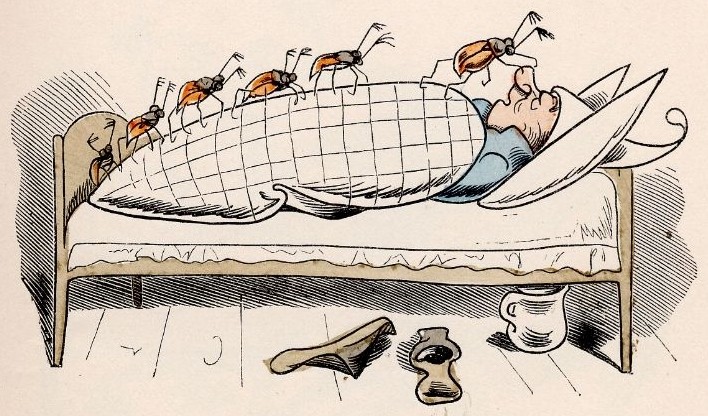 ... kommen ... kommen