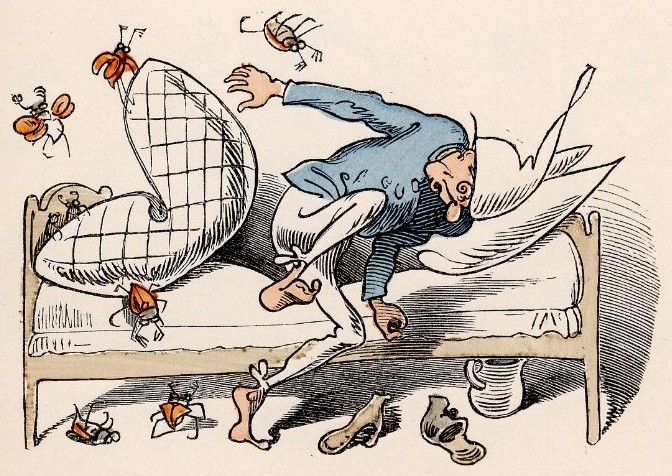 der Onkel saust der Onkel saust