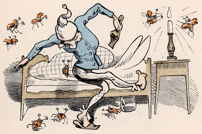 ... und fliegt ... und fliegt