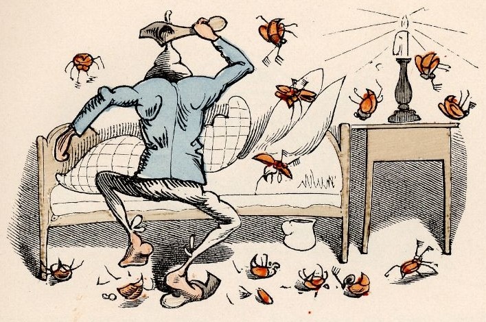 Onkel Fritz haut Onkel Fritz haut