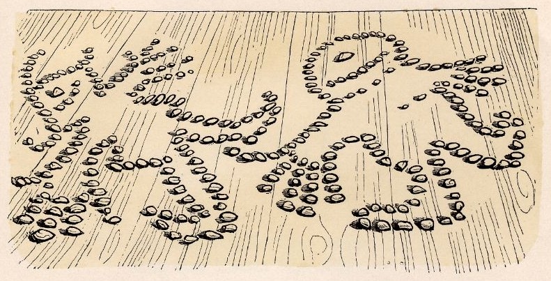 Fein geschroten Fein geschroten