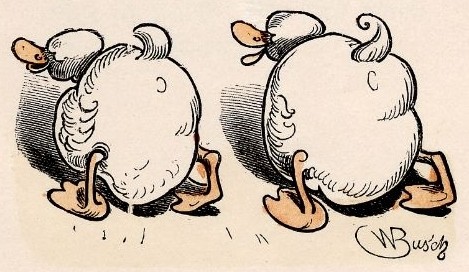 ... vom Federvieh ... vom Federvieh