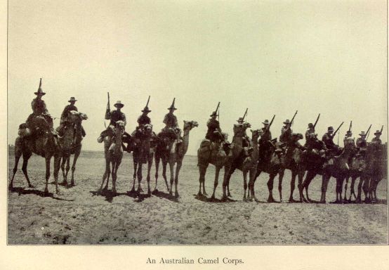An Australian Camel Corps.