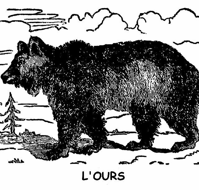 L'OURS.
