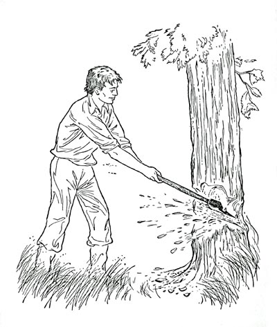 Abe felling a tree