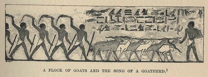 147.jpg a Flock of Goats and the Song Of A Goatherd 