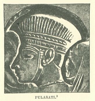 301.jpg Pulasati 
