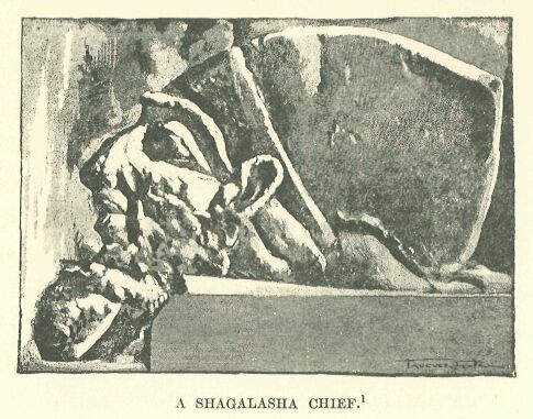 304.jpg a Sihagalasha Chief 
