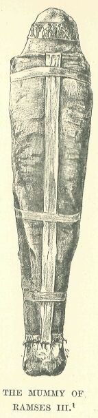 327.jpg the Mummy of Ramses III. 
