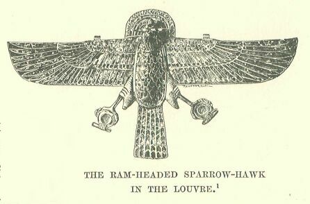 347.jpg the Ram-headed Sparrow-hawk in The Louvre 
