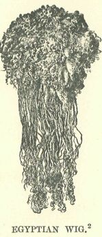 349.jpg Egyptian Wig 
