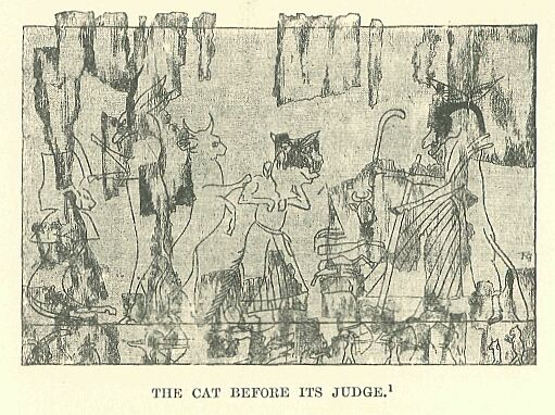 358.jpg the Cat Before Its Judge 