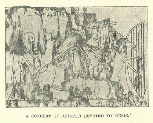 359.jpg a Concert of Animals Devoted to Music 
