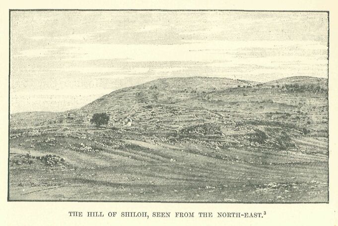 304.jpg the Hill of Shiloh, Seen from The North-east