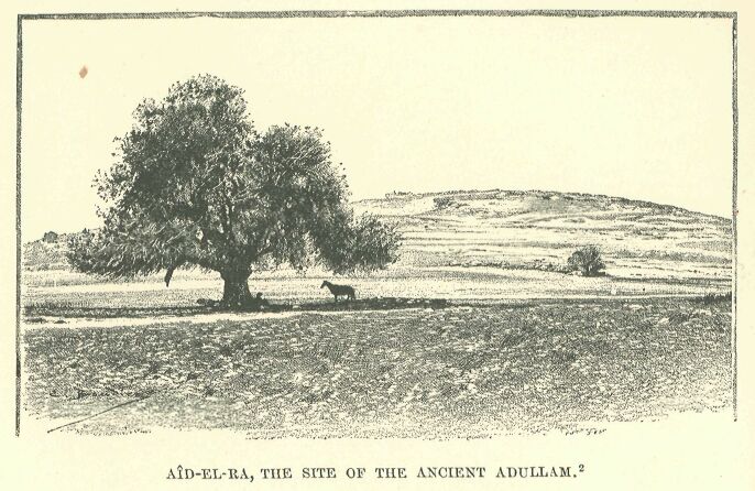324.jpg AÎd-el-ra, the Site of The Ancient Adullam