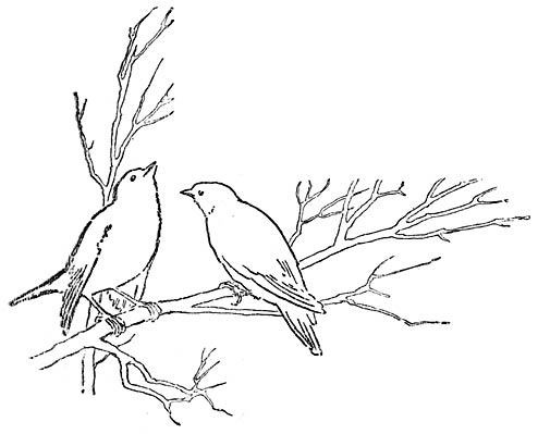 Twee vogeltjes op een tak.