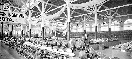 View over vegetable table and across fruit exhibit at
1916 Minnesota State Fair. Mr. Thos. Redpath, Supt. Fruit
Exhibit.