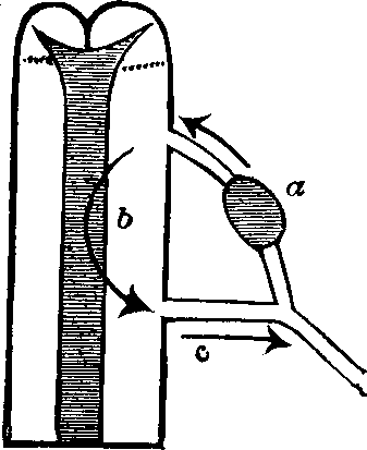 Illustration:
Fig. 57.
