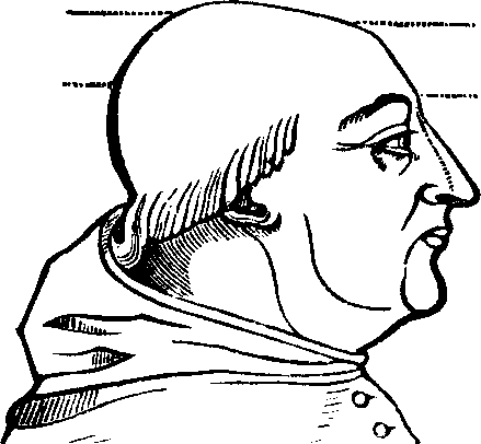 Illustration:
Fig. 73. is a representation of the cranial conformation of Alexander VI.,
