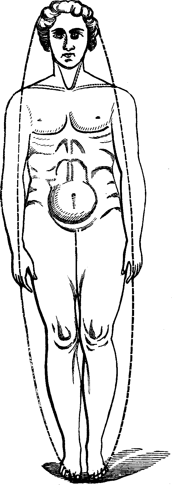 Illustration:
Fig. 100. Male