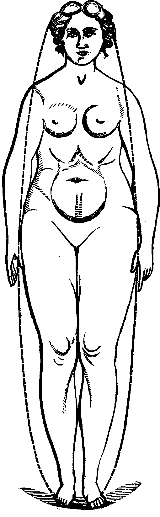 Illustration:
Fig. 101. Female