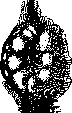 Illustration:
Fig. 1. Swollen External Piles.