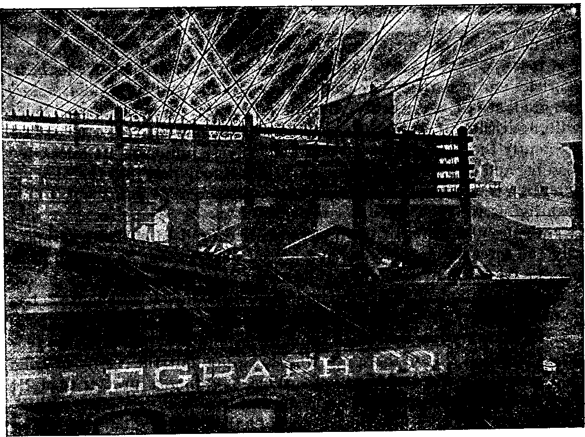 Illustration:
View on roof of Western Union Telegraph Company's Central Station, Buffalo,
N.Y., showing net-work of wires leading to all parts of the country.