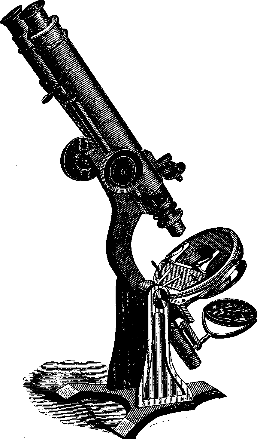 Illustration:
Binocular Microscope