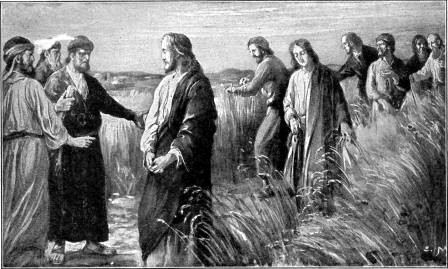 CHRIST AND HIS DISCIPLES IN
THE CORN-FIELDS

"The Son of man is Lord even of the
Sabbath day." Matt. 12:8.